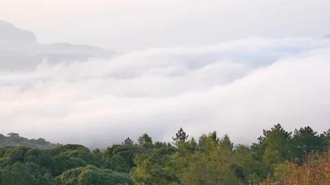 Mist Flowing on top mountain Stock-Footage 76445600