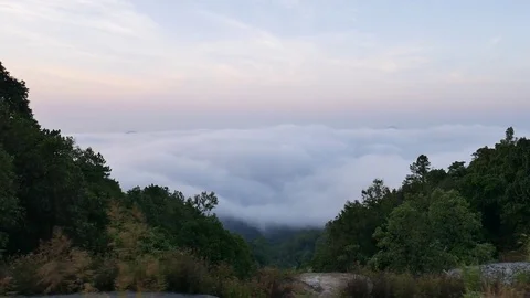 Mist Flowing on top mountain Stock-Footage 76445681