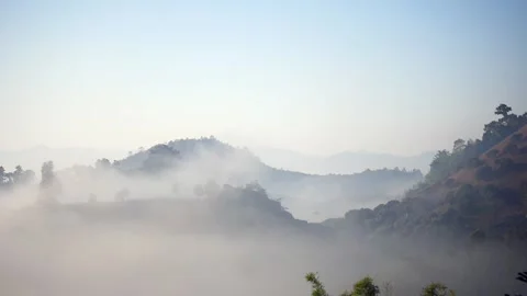The mist flows through the mountain forest Stock Footage 259607460