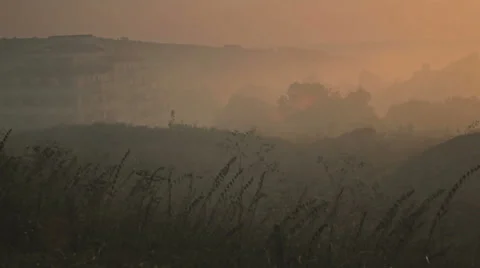 MIst 動画素材 22730833