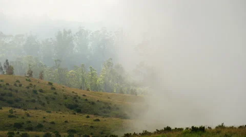 The mist Stock Footage 50191286