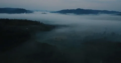 The Mist Video stock 101759261