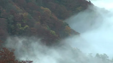 Mist Stock Footage 332758701