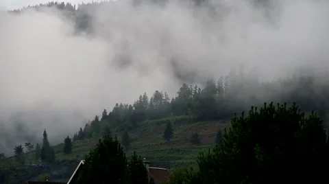 Mist in the forest Stock Footage 41086806