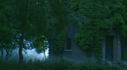 Mist in the forest with old tower Stock Footage 20466682