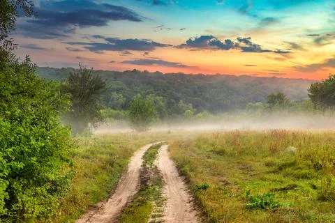 Mist in forest Stock Photos