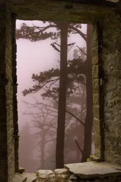Mist forest trees stone window Stock Photos