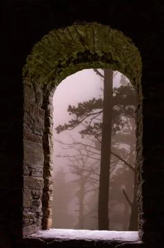 Mist forest trees stone window Foto stock