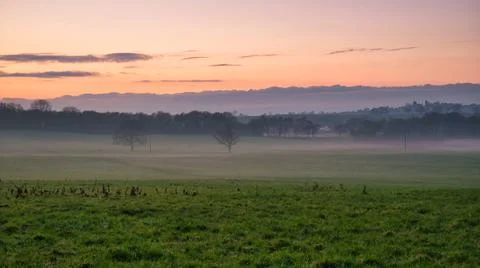 Mist forming around leafless trees in farmland fields at sunset. Stock Photos