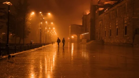 Mist on the garden of the mosque Stock Footage 102440589