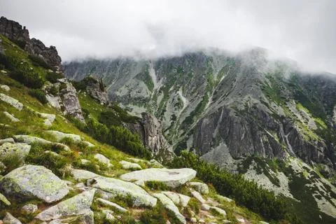 The mist getting down on the Tatras, Slovakia. Stockfoto's