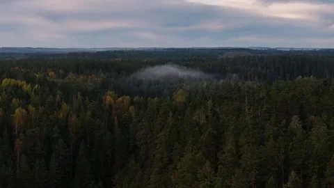 Mist hat Stock Footage 287634790