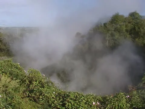 Mist from hot ground on earth surface on New Zealand's north island. Stock Footage 18008032