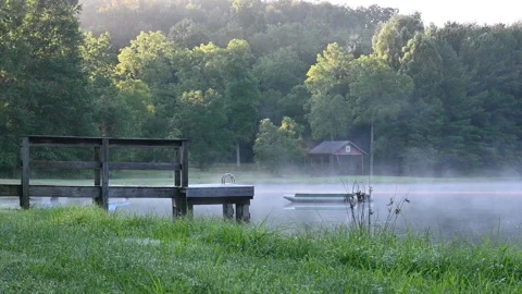 Mist on lake Stock Footage
