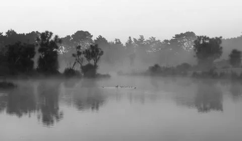 Mist lake Stock Photos
