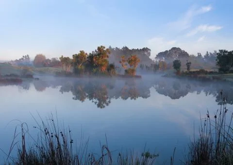 Mist lake Stock Photos
