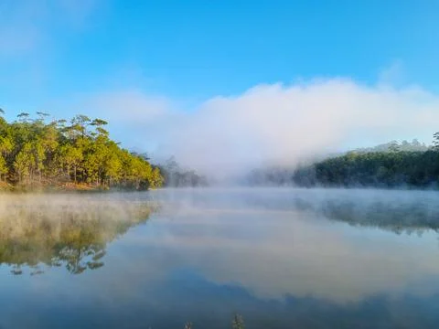 Mist on the lake Stock Photos