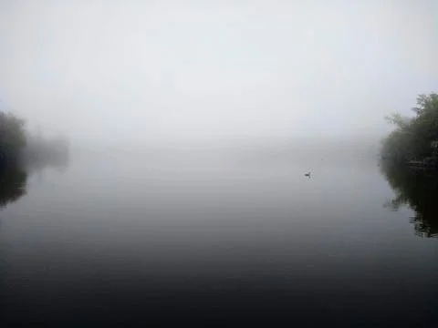 Mist on Lake Stock-Fotos