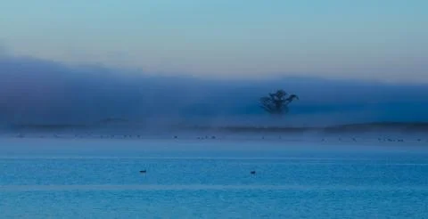 Mist lake tree Stock Photos
