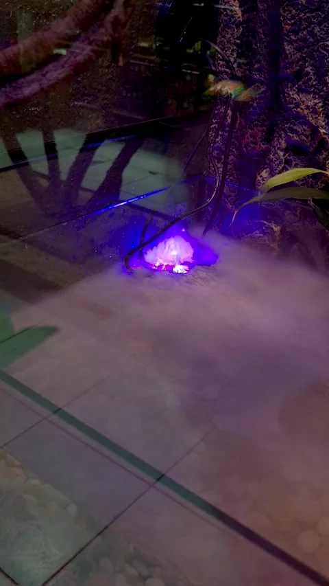 Mist maker creating a fine fog in the ball python terrarium. Stock Footage 321094196