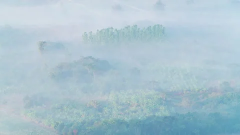 Mist at moring timelapse Stock Footage 168786991