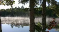 Mist on morning lake through tree trunks. HD Footage