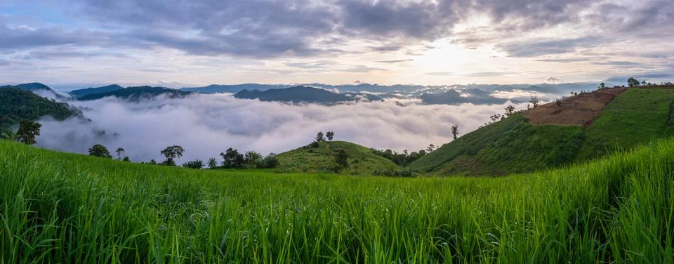 Mist Mountain Foto stock