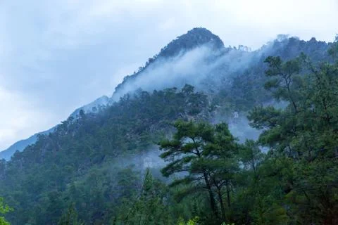 Mist in mountains Stock Photos
