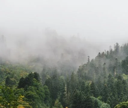 Mist in the mountains Stock Photos