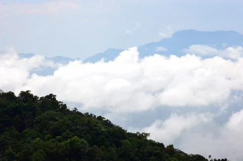 Mist on the mountains in rainforest. Stock Photos