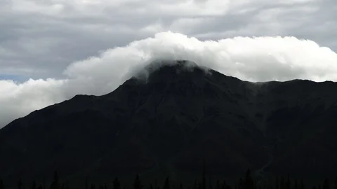 Mist moving up through the trees of a forest sped up Stock Footage 95619992