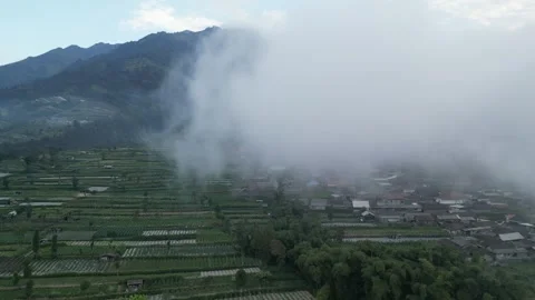 Mist or Clouds covering Merapi Volcano mountainside Vídeos de archivo 247352546