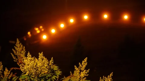 Mist or fog that rises over back yard, giving a mystical atmosphere, whimsi.. Stock Footage 336038820