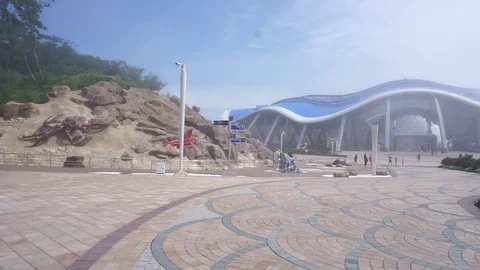 The mist over the aquarium Vídeo Stock 77891895