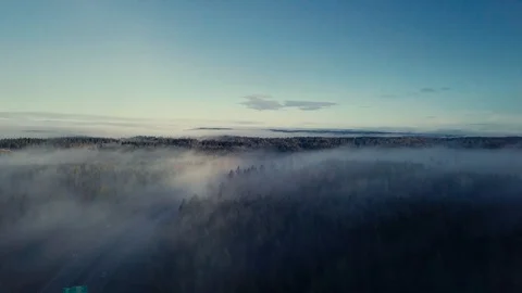 Mist over forest Stock Footage 97609514