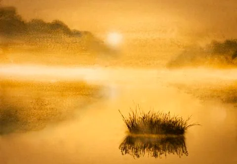 Mist over the lake Stock Illustration