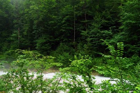 Mist over a mountain river Stock Photos