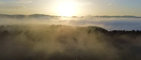 Mist over Pine Forest at Sunset 4k Drone Stock Footage 294315527