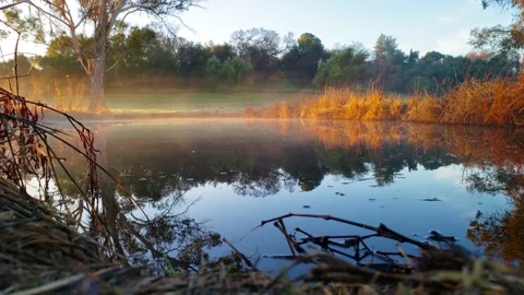 Mist over a Pond Stock Footage 146678106