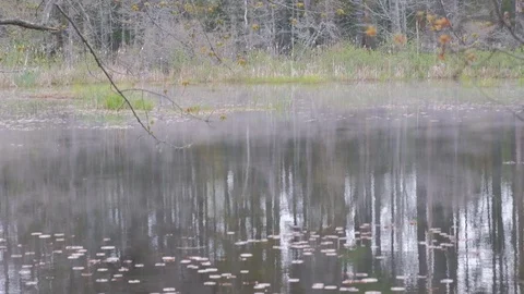 Mist over a river Stock Footage 112037667