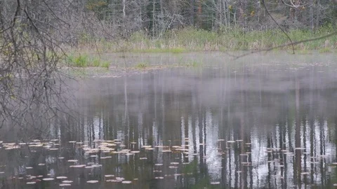 Mist over a river Stock Footage 112264799