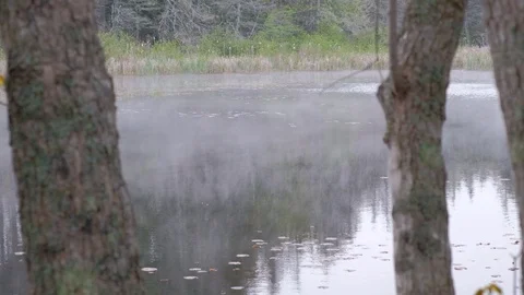 Mist over a river Stock Footage 112265003