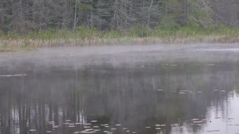 Mist over a river Stock Footage 112265218