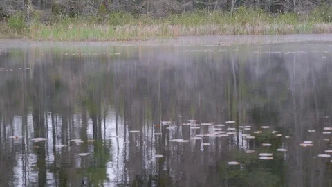 Mist over a river Stock Footage 112265710