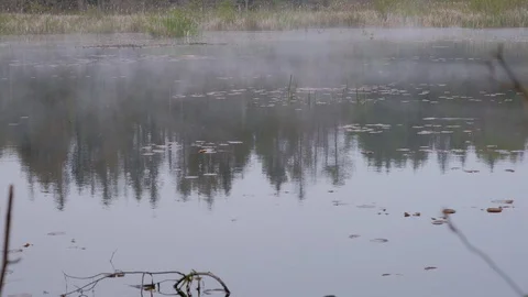 Mist over a river Stock Footage 112266481