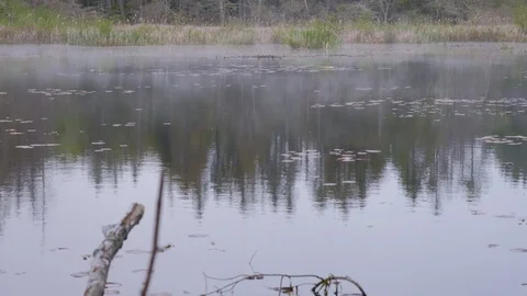 Mist over a river Stock Footage 112267071