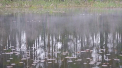 Mist over a river Stock Footage 112267296