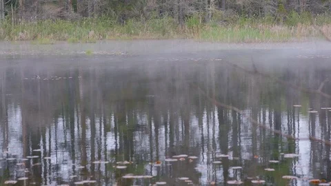 Mist over a river Stock Footage 112838154