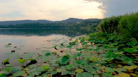 Mist over the river Video stock 229568406