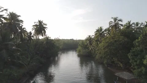 Mist over the river Stock Footage 294769970